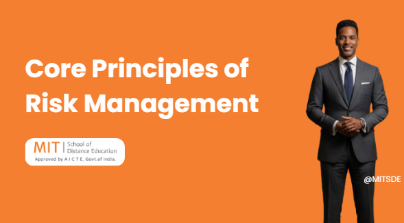 Core Principles of Risk Management