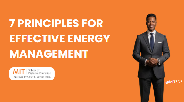 Seven Principles for Effective Energy Management