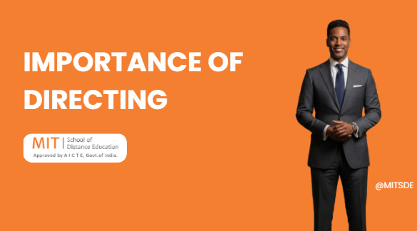 Importance of Directing - MITSDE