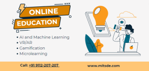 online education 2024