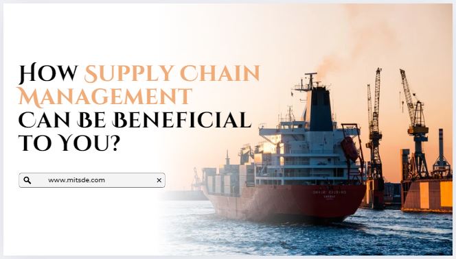 How Supply Chain Management Can Be Beneficial to You