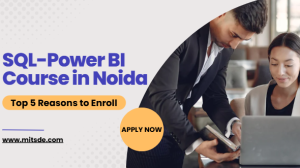 sql-power bi course in noida