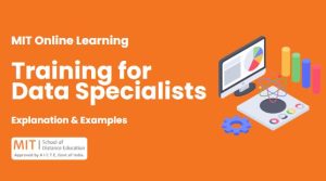 Training for Data Specialists: Explanation & Examples