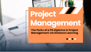pg diploma in project management