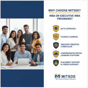 why choose mitsde for mba or executive mba programs