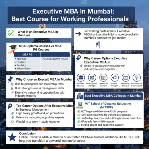 mba for working professionls